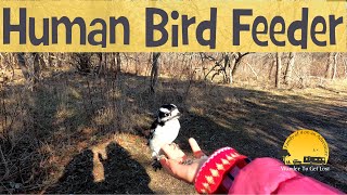 HUMAN BIRD FEEDER | Elizabeth A. Morton National Wildlife Sanctuary