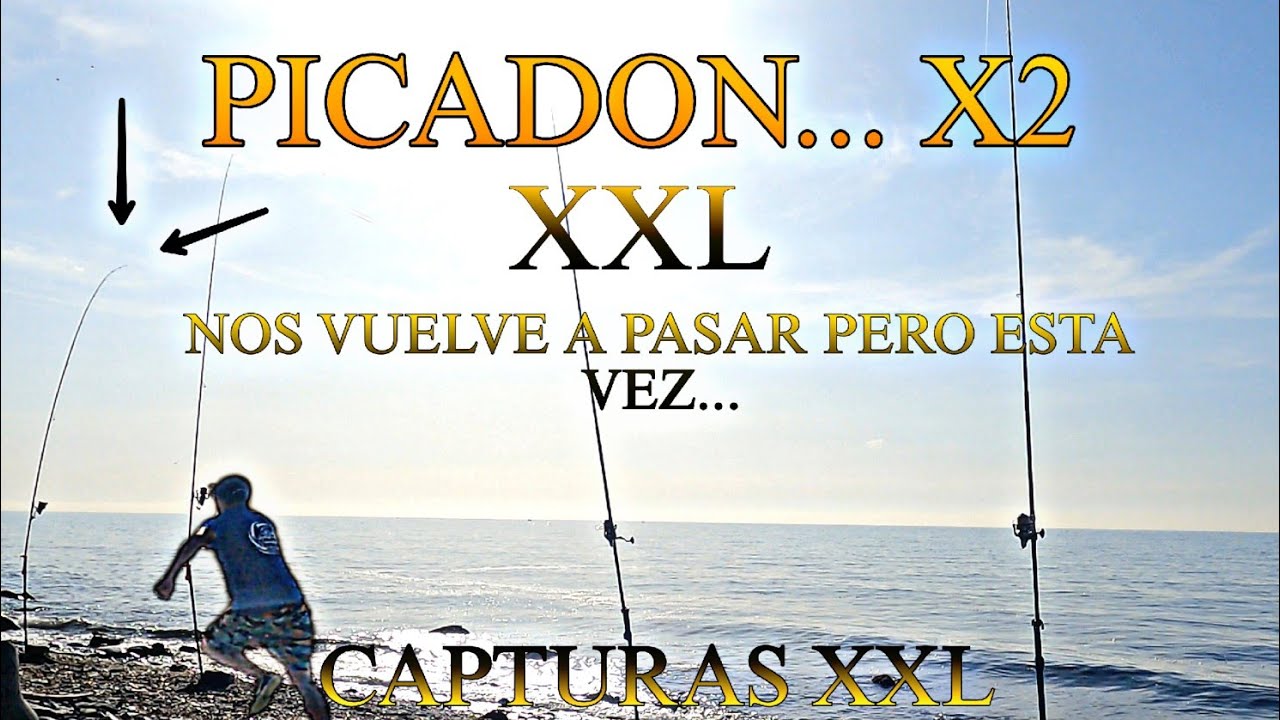 PICADONES EN DIRECTO CON CAPTURAS XXL... BUSCANDO LA DORADA. CONDICIONES TOP