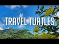 Travel turtles channel trailer