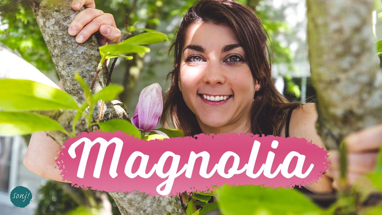 Sonj! – Magnolia [Original Song | Music Video]