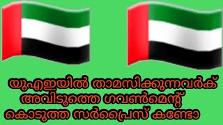 യഎഇയൽ തമസകകനനവർക യഎഇ ഗവൺമനറനറ ബഗ സർപരസ