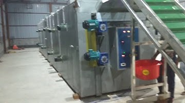 Raw Mango slice Conveyor Belt Dryer - Part - 1, by Mahatma Brijmohan Techniclas, India