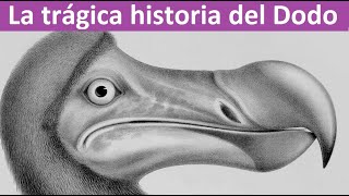 La Tragica historia del Pajaro Dodo