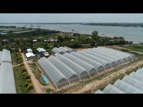 Video Video về quá trình làm nhà màng - Green Houses theo... - youtube