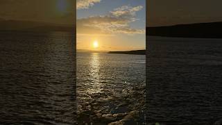 Memancing Di Kepulauan Canary Fish Frenzy Bait Co  Gg Guiding memancing