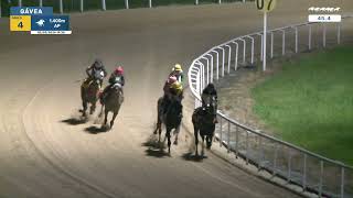 Vidéo de la course PMU PREMIO BRIGITTE