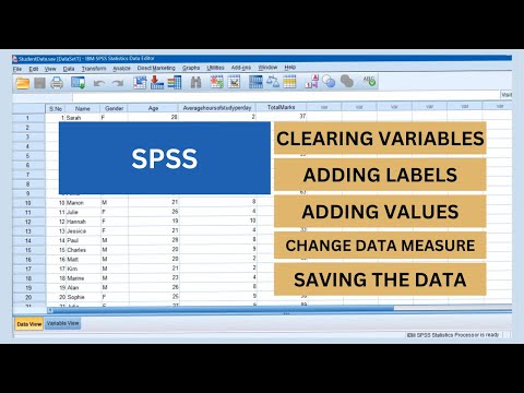 SPSS 2 | Clean Data | Labels, Values, and Measures | Save Data