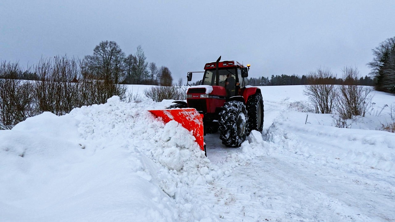 Išradinga ožka, tvarto barikada nuo ožkos, vėl sniegas, stumdymas, avis apsiėriavo.2026 02 25