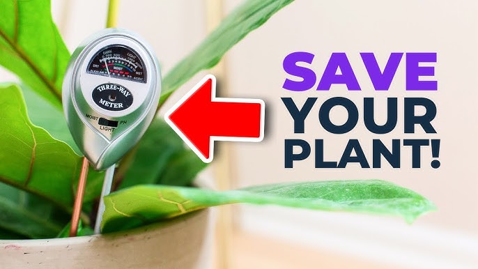 apine Soil Moisture Meter, Plants Moisture Meter, Plant Water Meter for Indoor/Outdoor Plants, Hydrometer for Plants Green