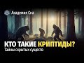 🌙 Лекция для сна 🐉 Кто такие криптиды? Тайны скрытых существ 🐉