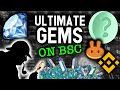 ULTIMATE GEMS ON BINANCE SMART CHAIN! These altcoins could explode with gains!
