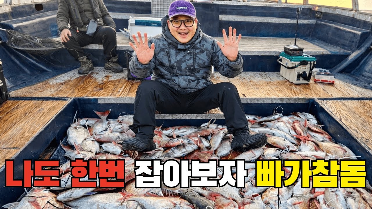 미녀와 힘겨루기 한 판!!! 빠가 참돔 여기 있니? (참돔 타이라바)