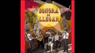 Video thumbnail of "Sonora De Llegar - Patota"