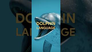 Celebrity The first AI model to speak Dolphin? The Wild Dolphin Project & @googledeepmind are making a splash Profile