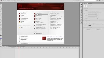 Flash| Animacion de Texto