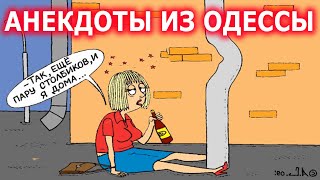 Пьяная Жена?:) Анекдоты из Одессы №292