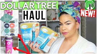Dollar Tree Haul 2018 Amazing Dollar Store Finds You Wont Believe Sensational Finds