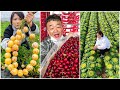 😍Farm Fresh Ninja Fruit | Tik Tok China | (Oddly Satisfying Fruit Ninja) #57