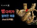 뱀, 다리가 없어진 이유 (Feat.도마뱀) / 뱀은 다리가 있었습니다.