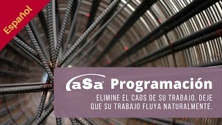 Software para la Industria del Acero de Refuerzo aSa:  Programación screenshot 5