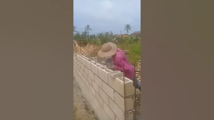 Bernardo
