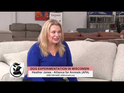 TVW | Wisconsin Women | Alliance for Animals | 03-25-21