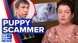 Over 60 people scammed into buying puppies that never existed | 9 News Australia