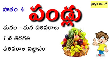 1st class EVS lesson fruits| fruits Evs lesson | page no.19