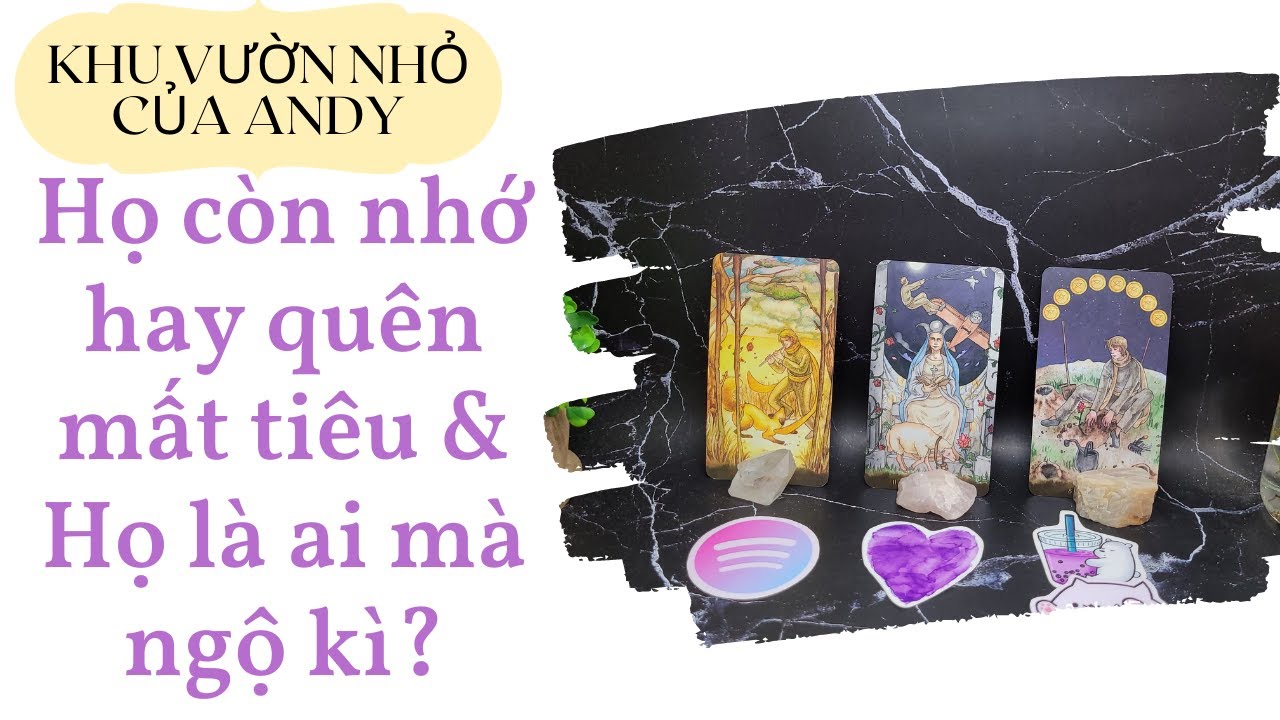 Chọn 1 tụ bài Tarot – Họ còn nhớ hay quên mất tiêu và họ là ai mà ngộ kì – Alo Andy