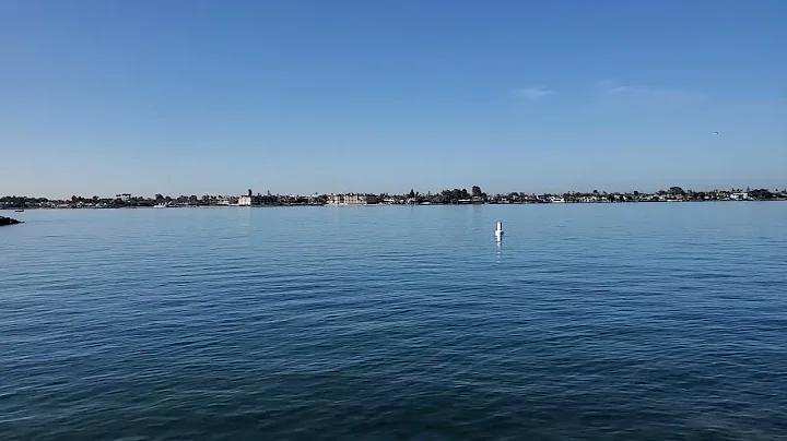 Relaxing Birds