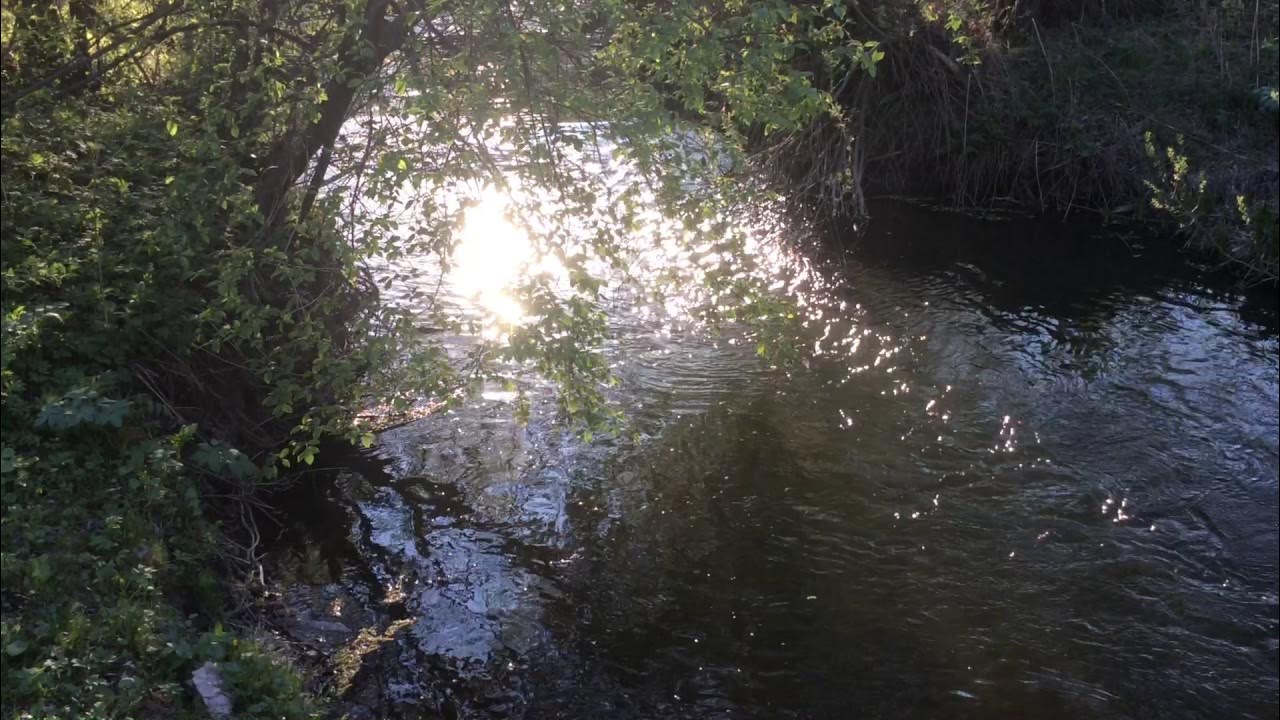 девушки купаются в озере.