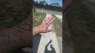 240st ft lawn transformation video #2 CHINCH BUG INFESTATION!! Lets kill these bugs n grow grass