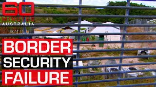 Failures in immigration allowing violent criminals to thrive in Australia | 60 Minutes Australia