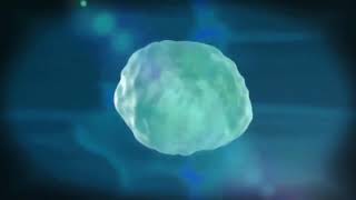 Full Cat Transcendence - Limitless - Full Version Update