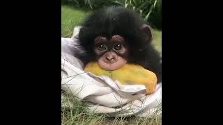 Annesi̇ni̇n Bi̇r Tanesi̇ni̇ Hor Görmesi̇nler