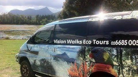 Business Connect | Vision Walks Eco Tours | Success story