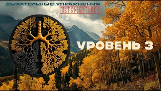 Дыхательные упражнения . Метод Бутейко . Уровень 3