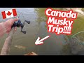 Welcomed by catching a musky in 20 casts  canada musky trip day 1