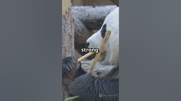 Did You Know Baby Pandas Are Born Pink? #panda #animals