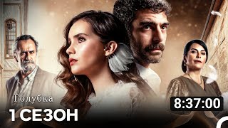 видео: Голубка 1 Сезон картинка: Голубка 1 Сезон