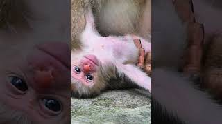 Cute Baby Fanta #Rainbow #Leo #Lucie #Jovi #luxi #Jenifer #luno #Robin #Floran