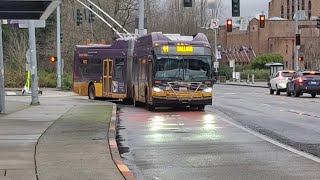 King County Metro Route 44 to Ballard 