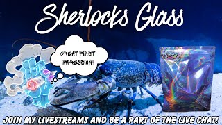 SHERLOCKS GLASS THCA FLOWER REVIEW: BLUE LOBSTER! USE CODE (SPACECITY)