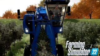 FARMING SIMULATOR 22 ELM CREEK #167 - COMPRIAMO RACCOGLI OLIVE - GAMEPLAY ITA