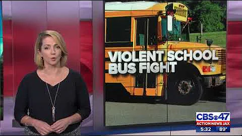 Video shows violent school bus fight