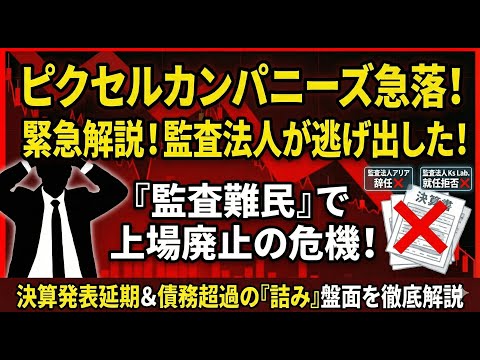 ピクセル、新しい会計監査人が就任せず…上場維持は大丈夫か？今後の株価とリスクを徹底解説
