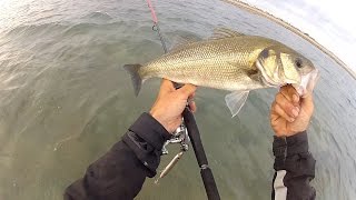 Pêche du bar au leurre de surface en wadding juillet 2016 HD 1080P