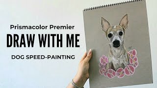 draw with me: perder a una mascota | speed-painting realistic dog | lápices prismacolor premier