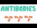 Antibodies - Biology Tutorial