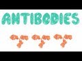 Antibodies and Their Functions